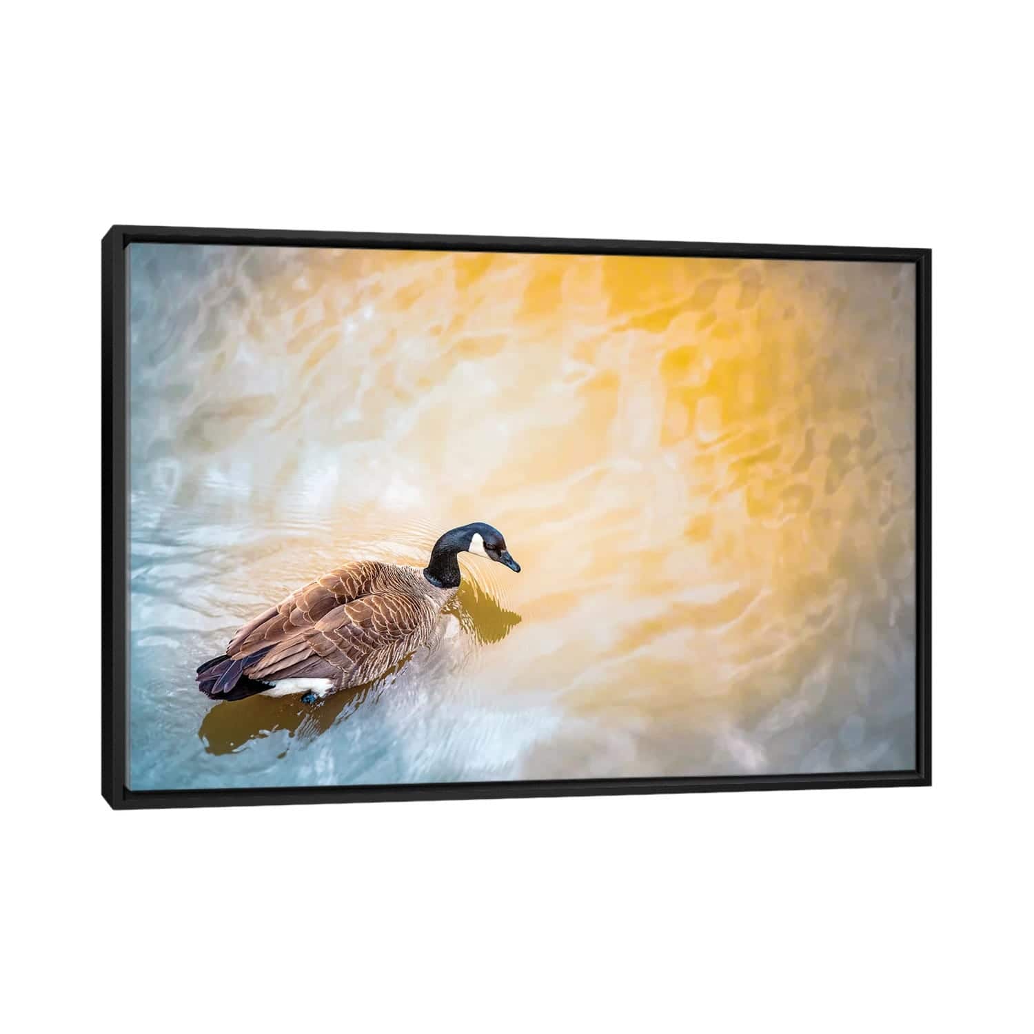 iCanvas "Canada Goose Ins Sun Spotlight" by Nik Rave Framed Canvas